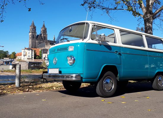 HerrFerdinand_Fotogalerie_6